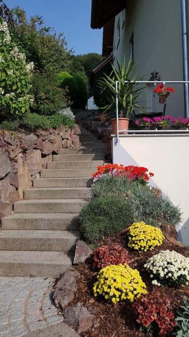 Ferienwohnung Talblick Im Schwarzwald Seelbach  Exterior foto