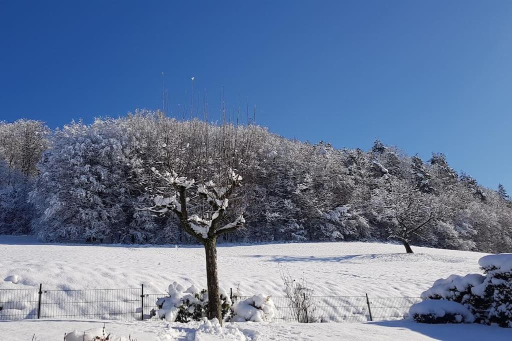 Ferienwohnung Talblick Im Schwarzwald Seelbach  Exterior foto